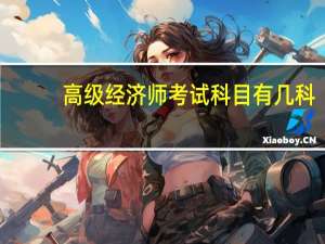 高级经济师考试科目有几科