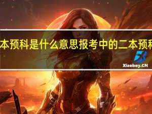 高考二本预科是什么意思 报考中的二本预科是什么意思