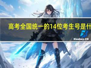 高考全国统一的14位考生号是什么