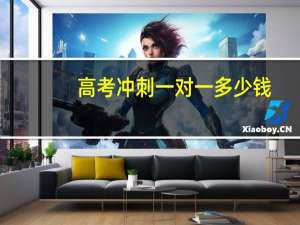 高考冲刺一对一多少钱