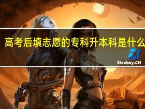 高考后填志愿的专科升本科是什么意思