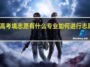 高考填志愿有什么专业 如何进行志愿填报