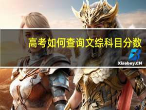高考如何查询文综科目分数
