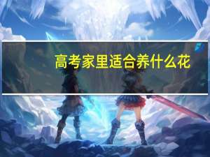 高考家里适合养什么花