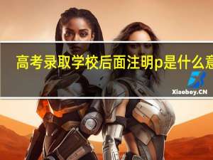 高考录取学校后面注明p是什么意思