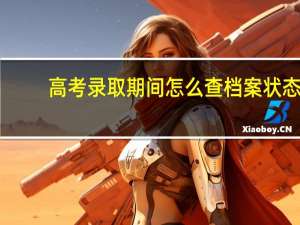 高考录取期间怎么查档案状态