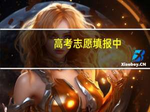 高考志愿填报中，第一批A段指的是什么