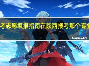 高考志愿填报指南 在陕西报考那个专业有前途