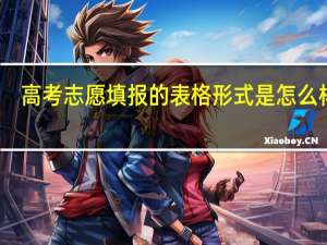 高考志愿填报的表格形式是怎么样的