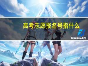 高考志愿报名号指什么