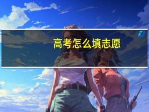 高考怎么填志愿