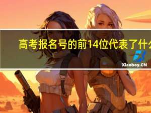 高考报名号的前14位代表了什么