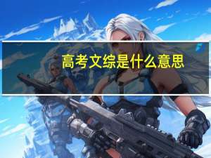 高考文综是什么意思