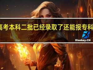 高考本科二批已经录取了还能报专科院校么