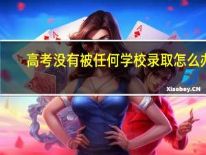 高考没有被任何学校录取怎么办
