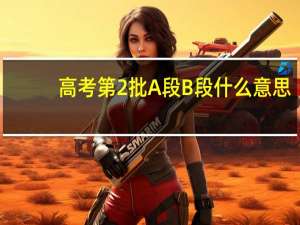 高考第2批A段B段什么意思