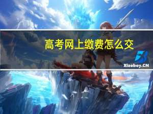 高考网上缴费怎么交