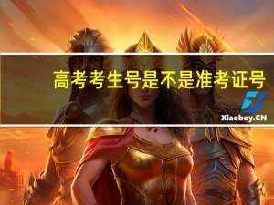 高考考生号是不是准考证号（考生号是不是准考证号）