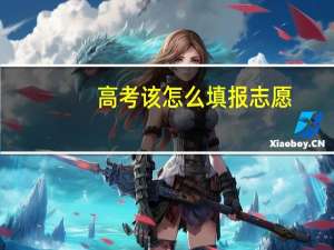 高考该怎么填报志愿
