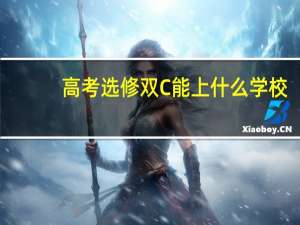 高考选修双C能上什么学校