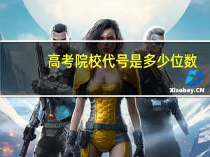 高考院校代号是多少位数