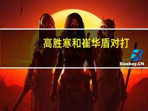 高胜寒和崔华盾对打（高胜寒）