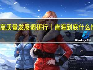 高质量发展调研行丨青海 到底什么情况嘞