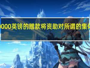 高达30000英镑的赠款将资助对所谓的集体智能的研究