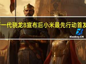 高通新一代骁龙8宣布后小米最先行动首发这款处理器