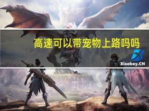 高速可以带宠物上路吗吗