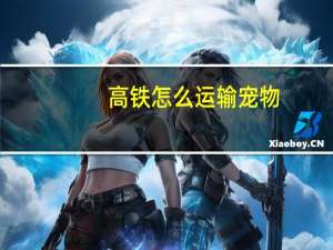 高铁怎么运输宠物