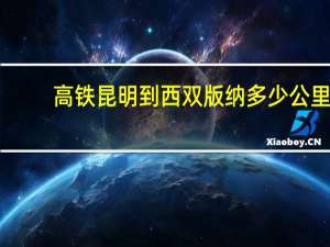 高铁昆明到西双版纳多少公里（昆明到西双版纳多少公里）