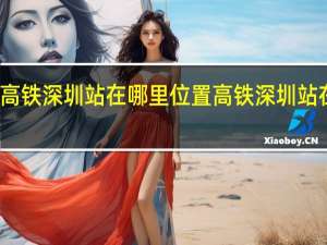 高铁深圳站在哪里位置 高铁深圳站在哪里