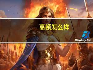 高顿怎么样