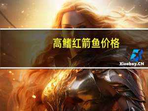 高鳍红箭鱼价格（高旗红箭鱼）