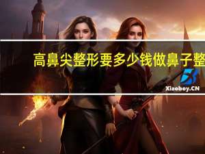 高鼻尖整形要多少钱 做鼻子整形需要多少钱啊