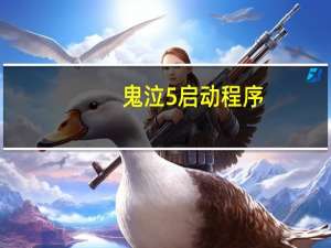 鬼泣5启动程序