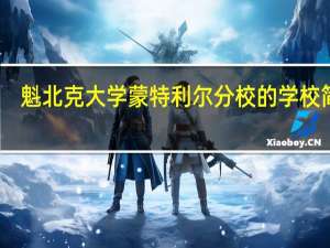 魁北克大学蒙特利尔分校的学校简介