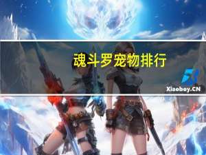 魂斗罗宠物排行