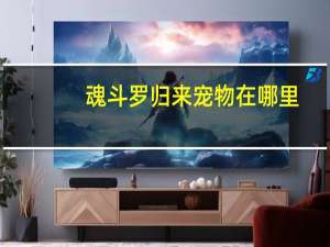 魂斗罗归来宠物在哪里