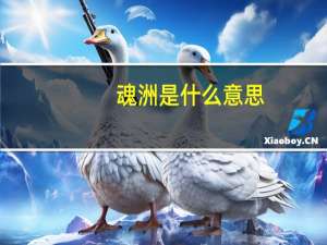 魂洲是什么意思