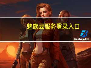 魅族云服务登录入口（魅族官网云服务）