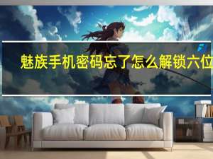 魅族手机密码忘了怎么解锁六位数（魅族手机密码忘了怎么解锁）