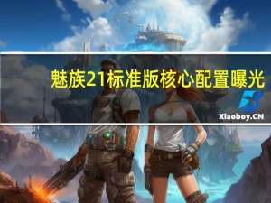 魅族21标准版核心配置曝光：索尼IMX966＋1.5K屏