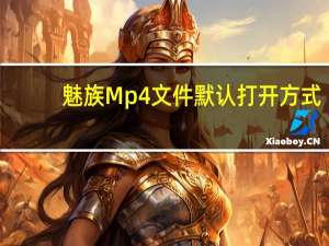 魅族Mp4文件默认打开方式（魅族mp4）