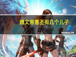 魏文帝曹丕有几个儿子