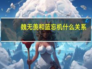 魏无羡和蓝忘机什么关系