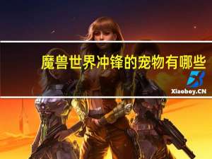 魔兽世界冲锋的宠物有哪些