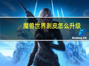 魔兽世界剥皮怎么升级
