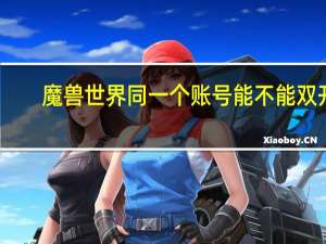 魔兽世界同一个账号能不能双开（魔兽世界同一账号双开）